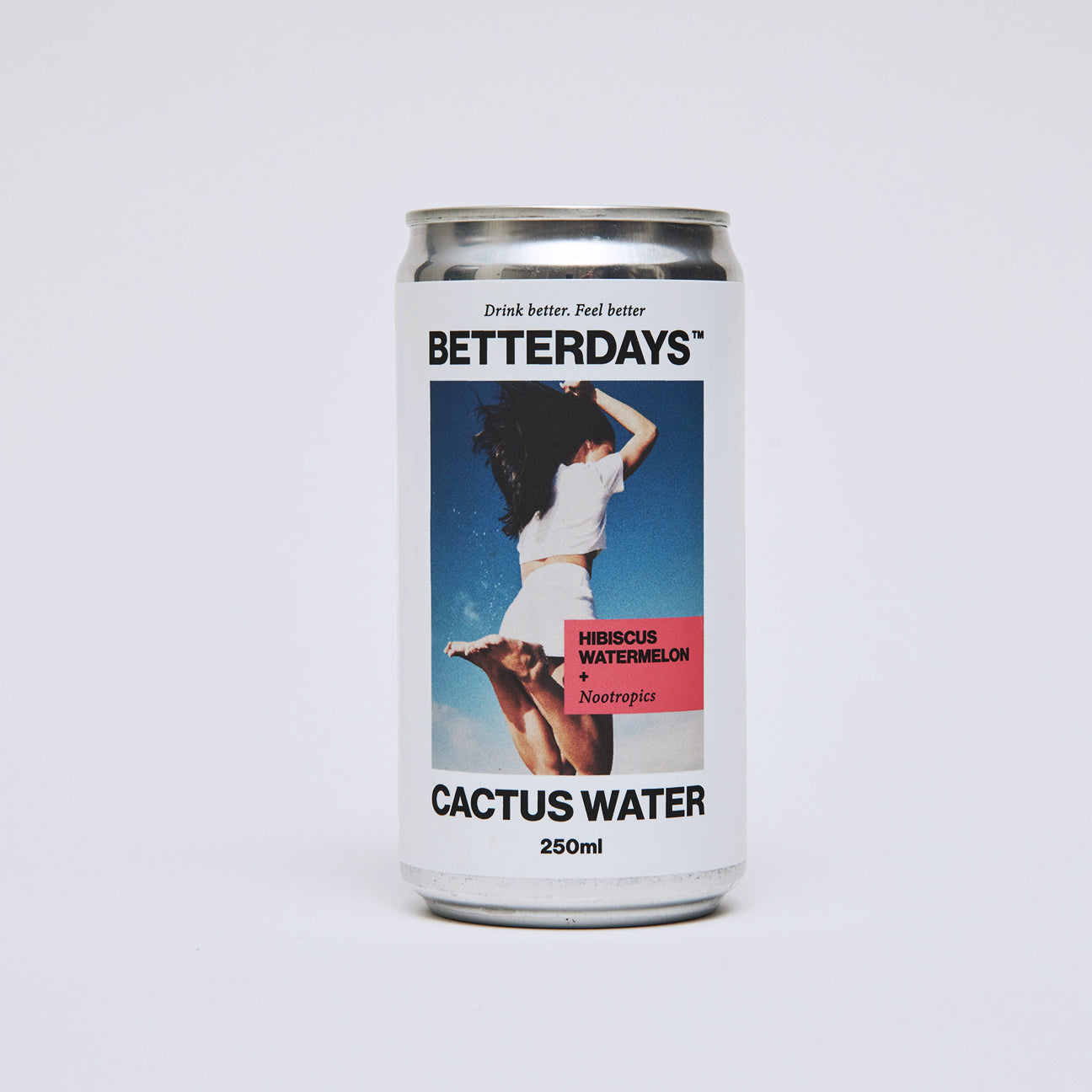 BetterDays Cactus Water Mixed 12 pack (x6 Watermelon Hibiscus + x6 Cucumber Mint)